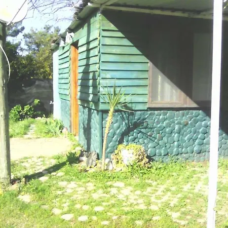 Quarto em Acomodações Particulares Ruzgar Gulu Bungalows Camping *