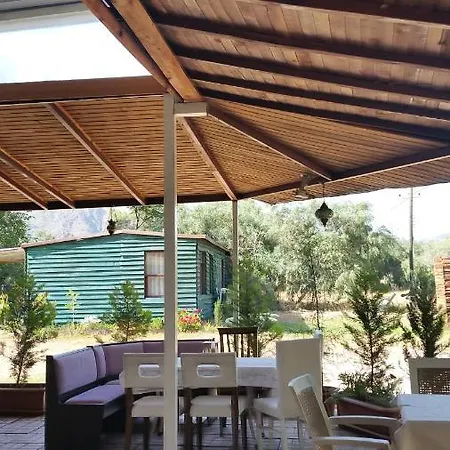 Quarto em Acomodações Particulares Ruzgar Gulu Bungalows Camping *